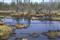Rainbow pipeline spill site in northern Alberta